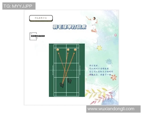 深圳羽毛球队整体压制战术解析与实战应用探讨